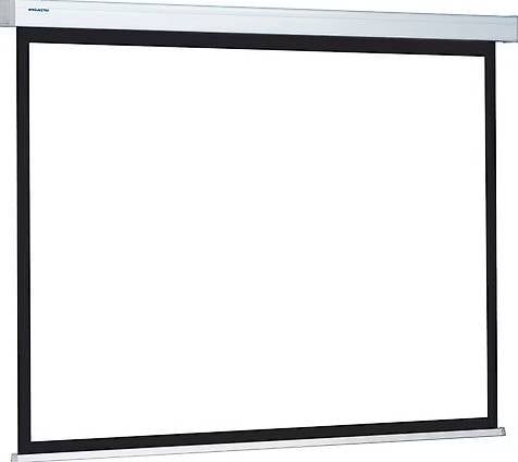 Altri Accessori: Projecta ProScreen 139x240cm Neu – Usato da Hochfelden venduto da RadioTVHagmann