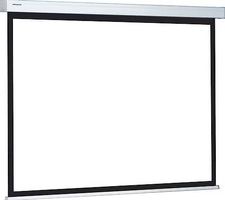 Projecta ProScreen 139x240cm Neu