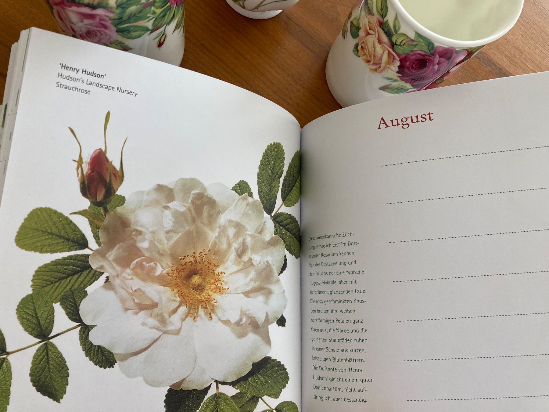 Calendari: Buch "Die ewige Rose" Ein immerwährender Kalender – Usato da Grüt (Gossau ZH) venduto da Air8k3m 3