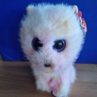 Ty beanie boo, Palmer Hund, ca. 15cm, neu