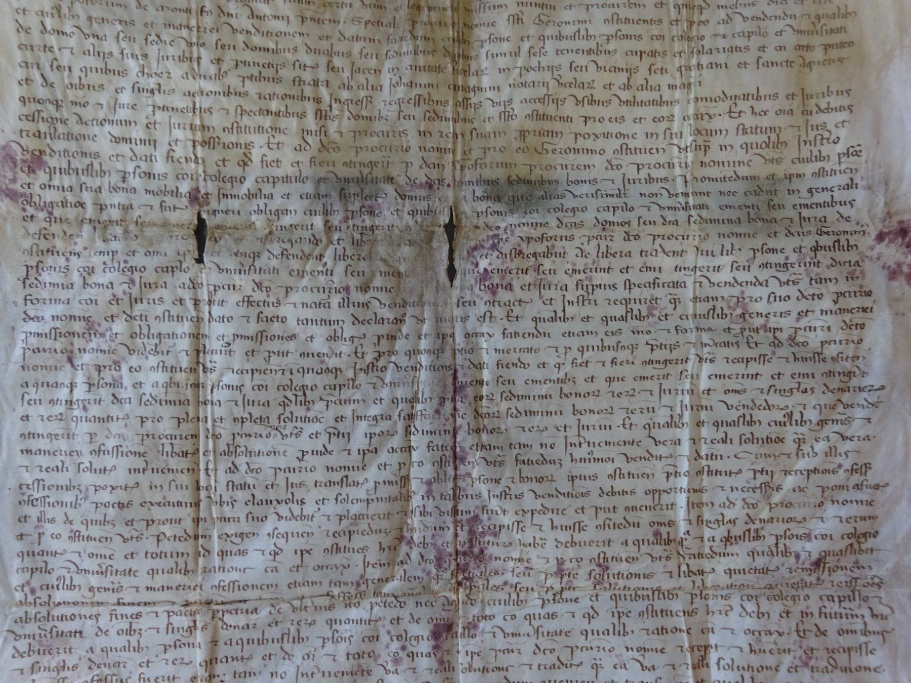 Bücher: Renaissance Handschrift Pergament 1489 Prokura – Gebraucht aus Esslingen von eintagammeer 4