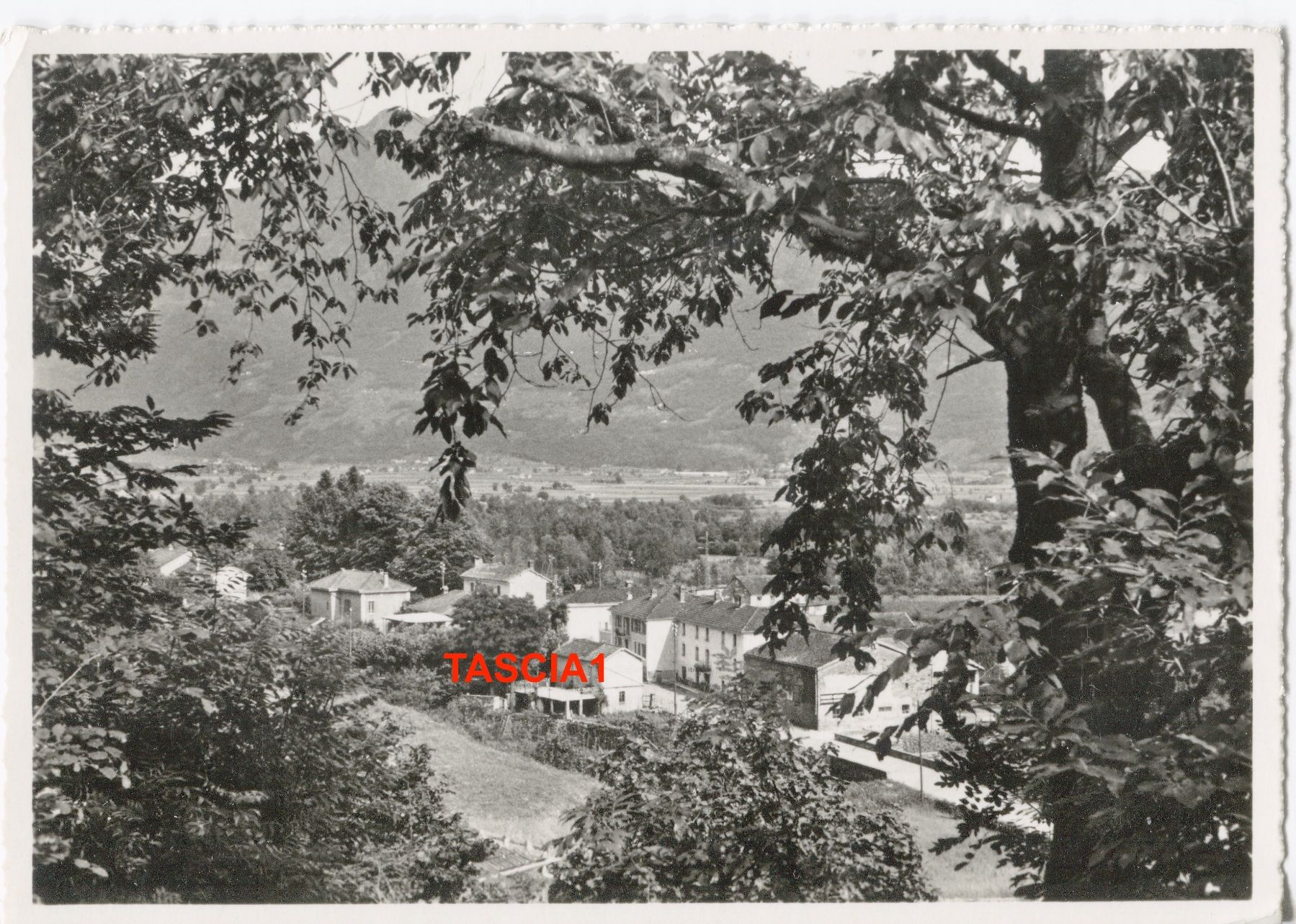 Cartoline postali: Gudo - Progero 1952 – Usato da coglio venduto da Tascia1