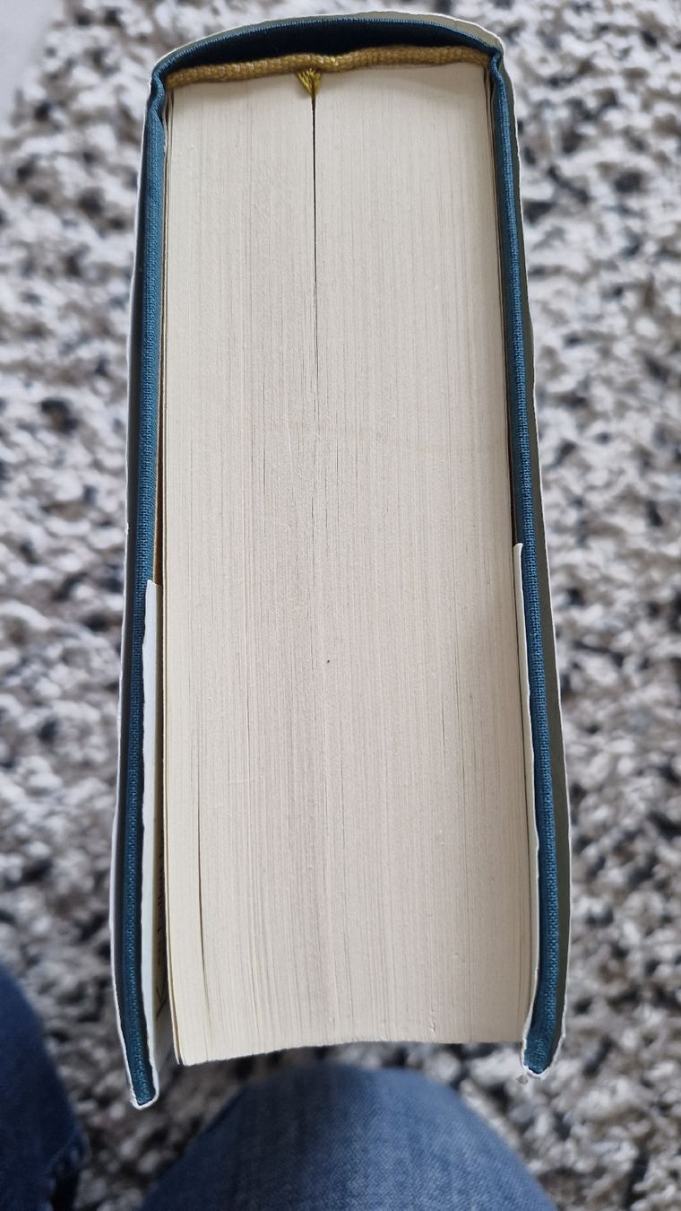 Libri: Ken Follet "Winter der Welt" – Usato da Basel venduto da Andrealin 1