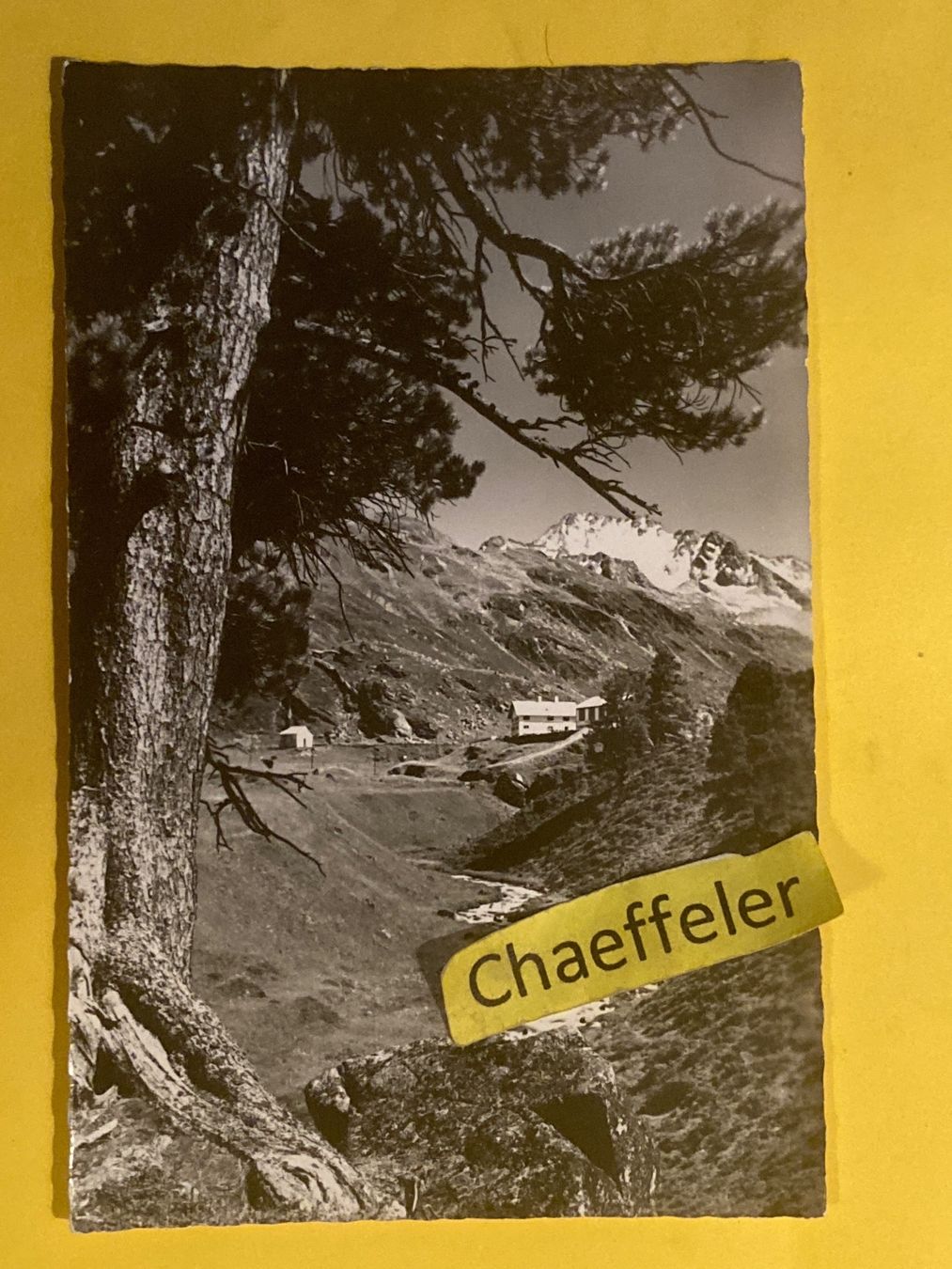 Cartoline postali: Tschuggen im Flüelatal mit Weisshorn – Usato da Zürich venduto da Chaeffeler
