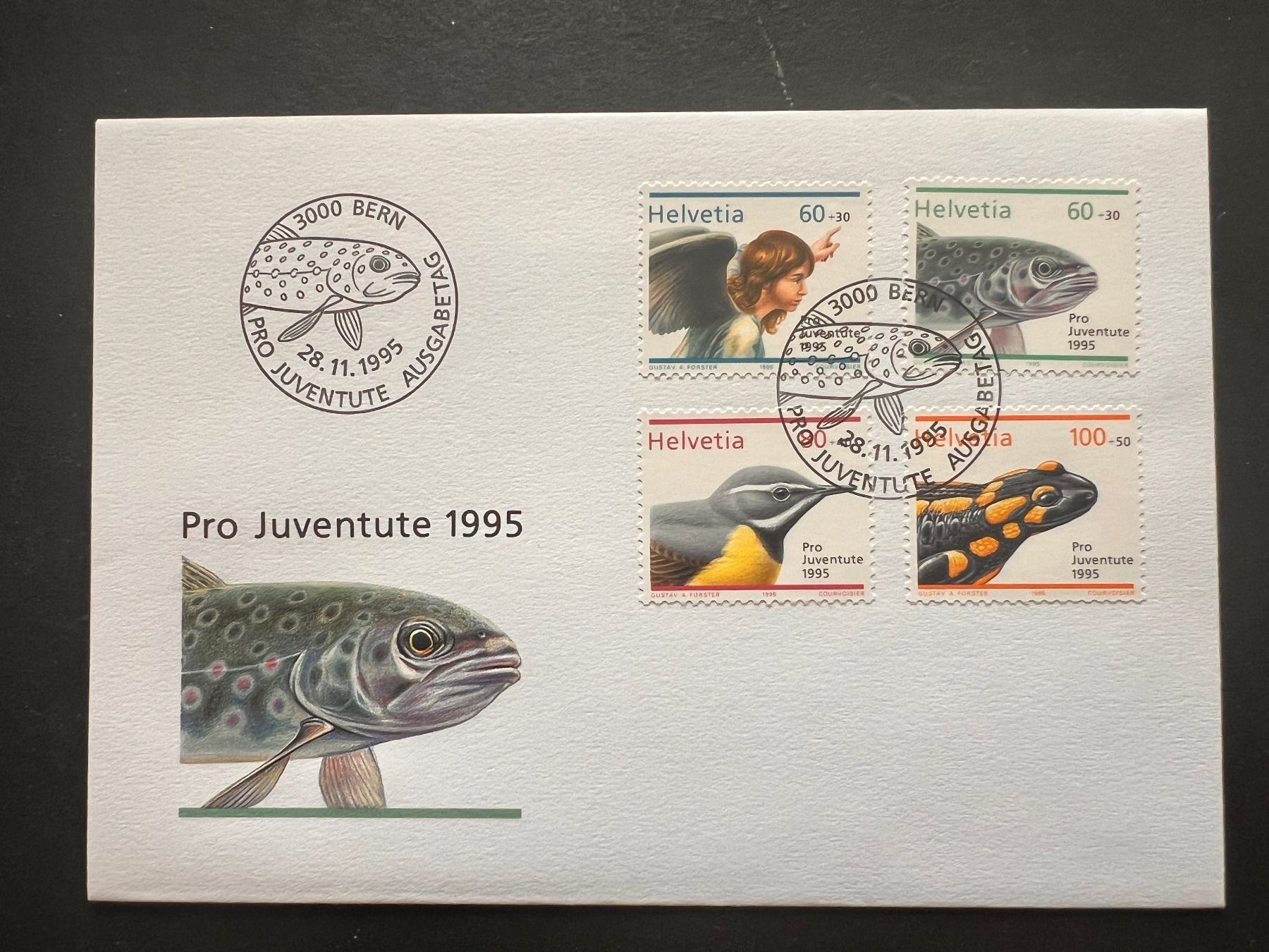 Tutti i francobolli: Erstagsbrief FDC PJ 1995  (P986) – Usato da Hinwil venduto da Sidi4