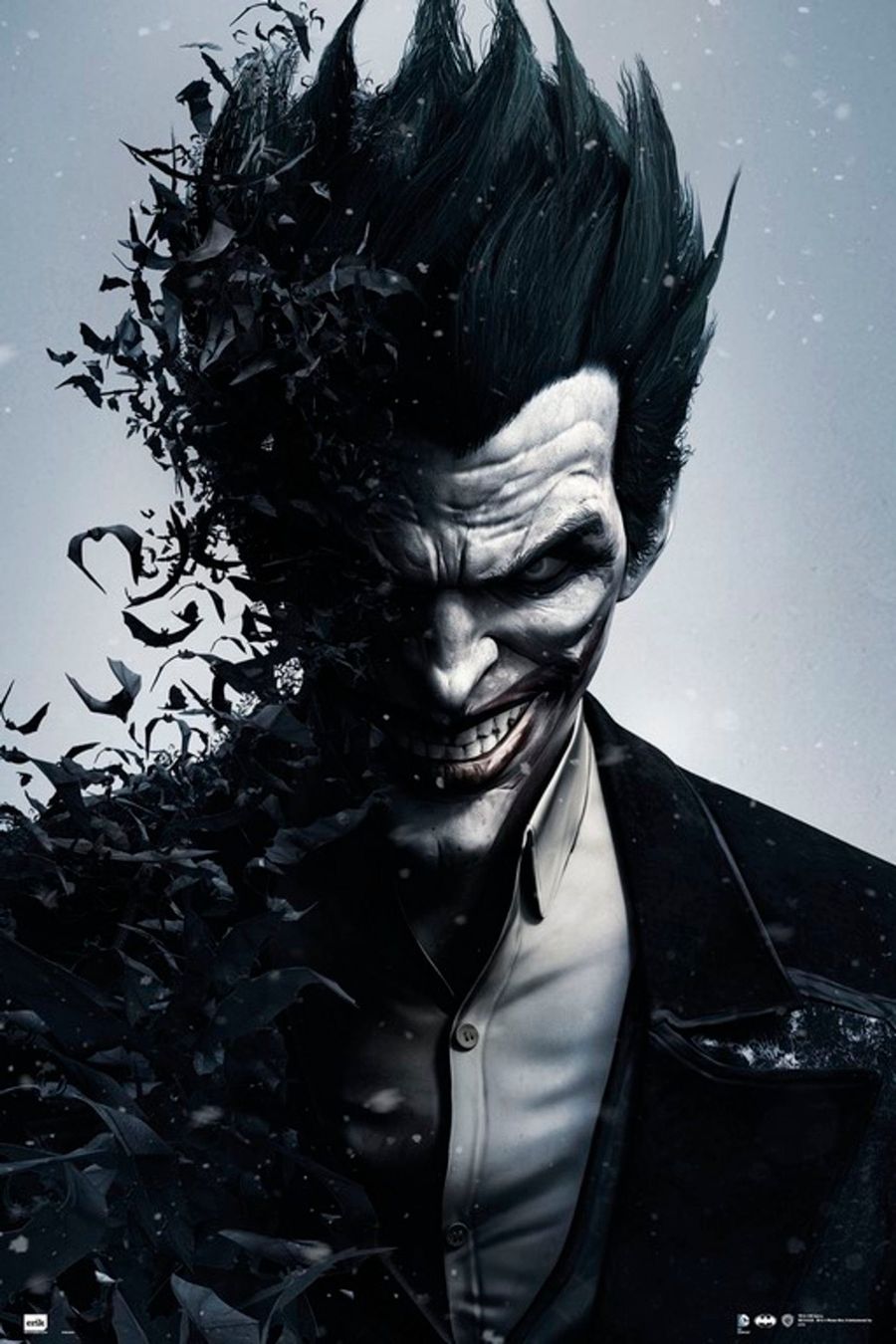 Poster & Bilder: Poster Joker  – Neu (gemäss Beschreibung) aus Ecublens VD von loi_dy6b 1