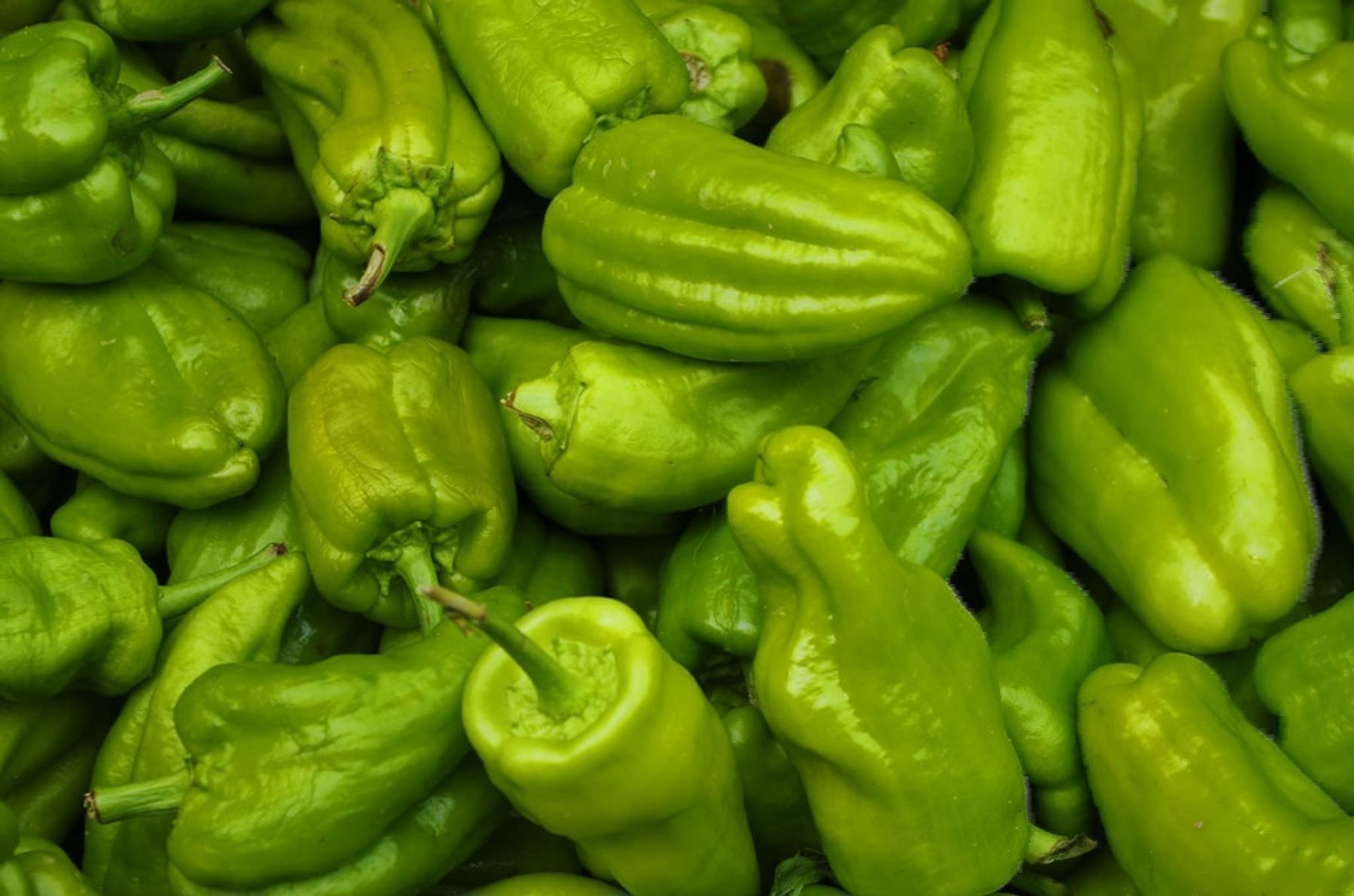 Piante & sementi: 50 Samen Pimento Padron Chili – Nuovo (secondo la descrizione) da Ehrendingen venduto da VerveinaSamen 5