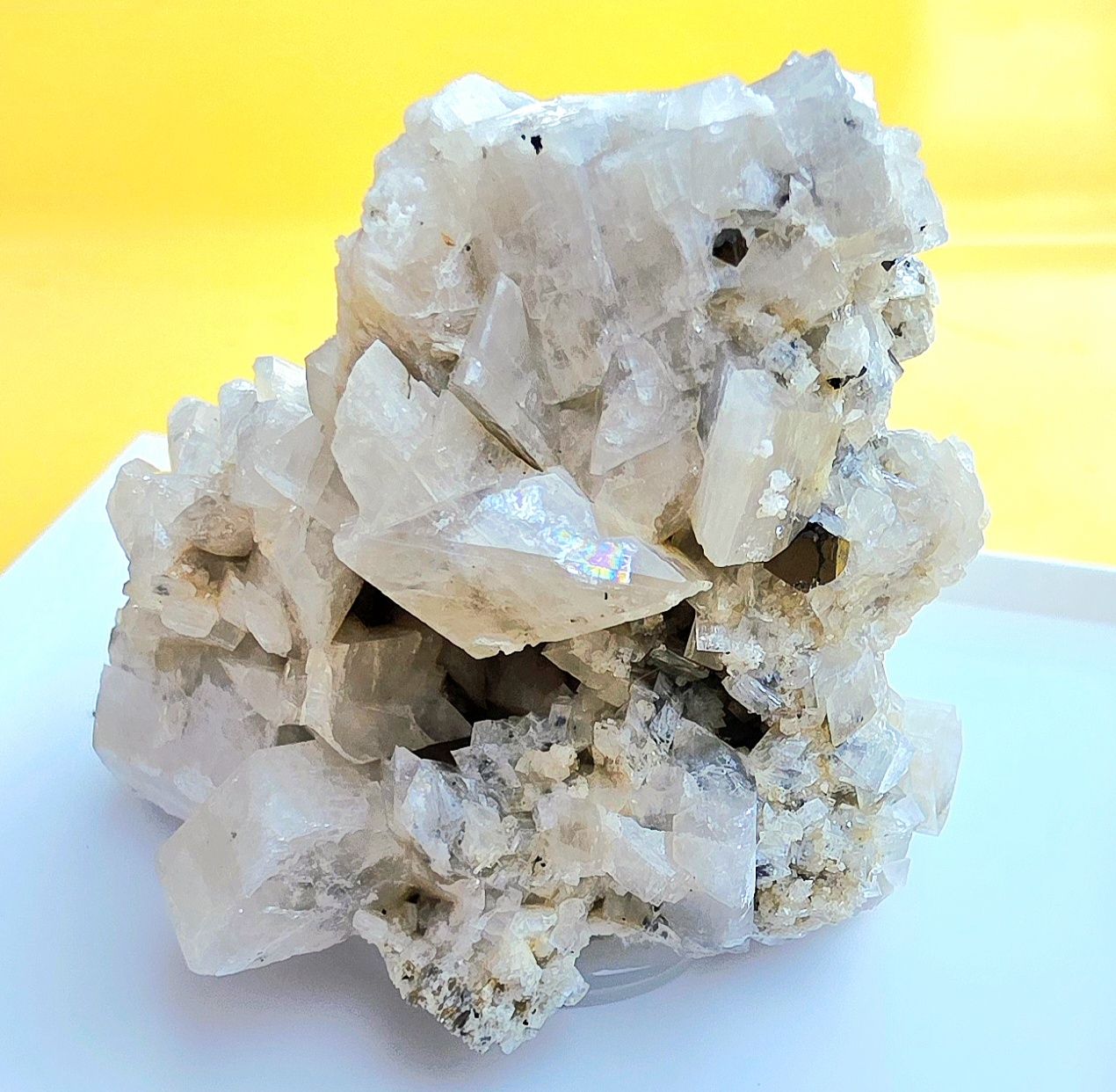 Minerali & Pietre curative: Mineralien Set 5 teilig mit Ilmenit, Magnetit, Rutil, Adular – Usato da Glis venduto da nbu_65ys 1