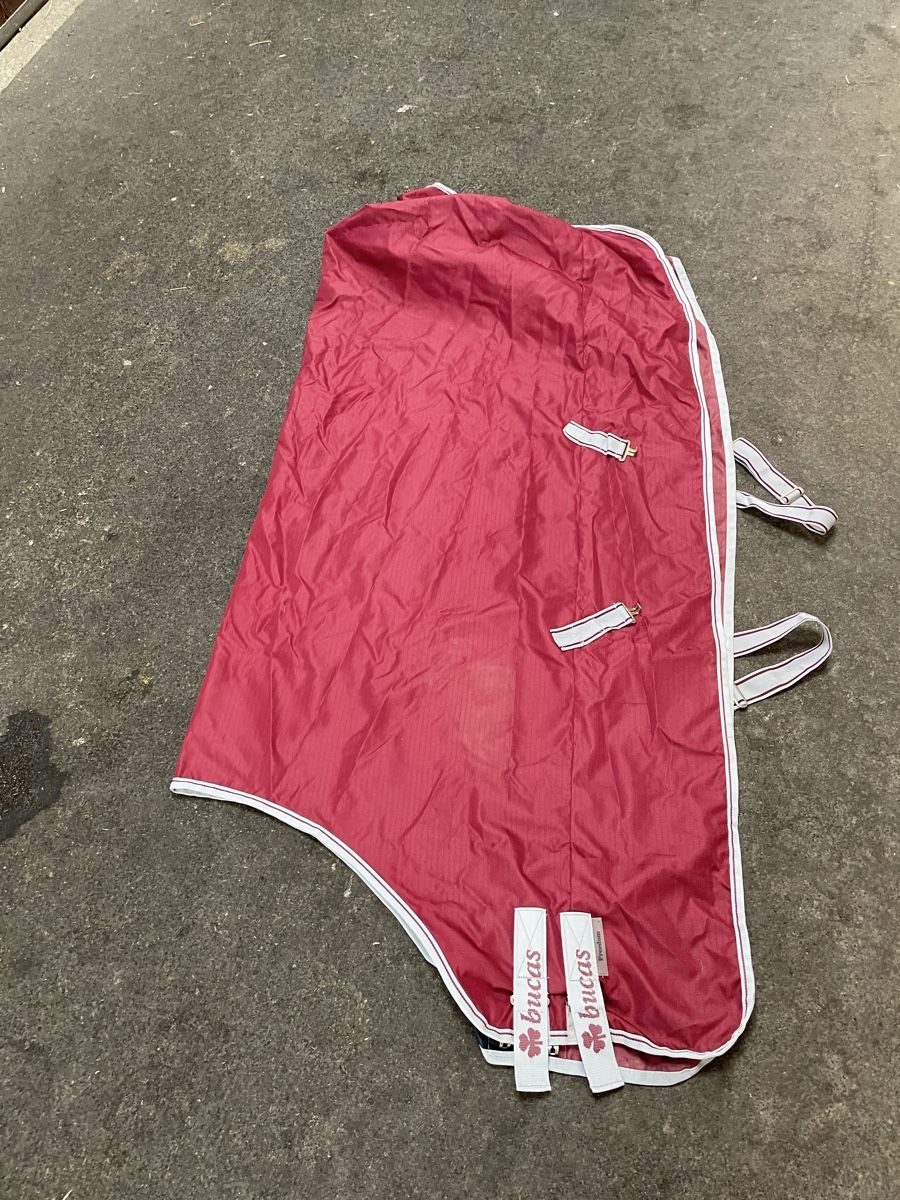 Decken: Bucas Freedom Turnout Light, Grösse 155 – Gebraucht aus Aristau von cherry-berry