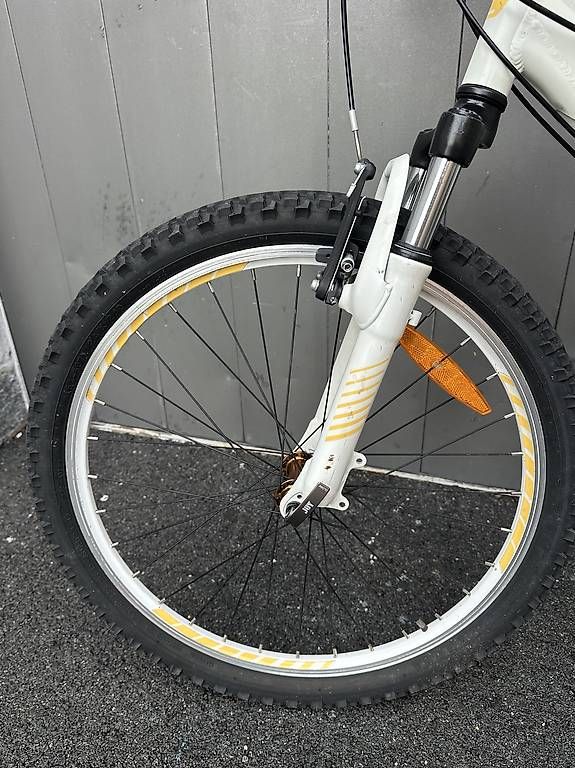 Biciclette: Bicicletta MTB California da ragazza 24  – Usato da Quartino venduto da DiloUsato 7