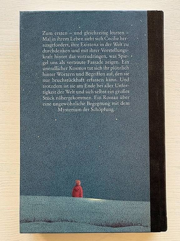 Libri: Durch einen Spiegel, in einem dunklen Wort - Jostein Gaarder – Usato da Zürich venduto da bekni 1
