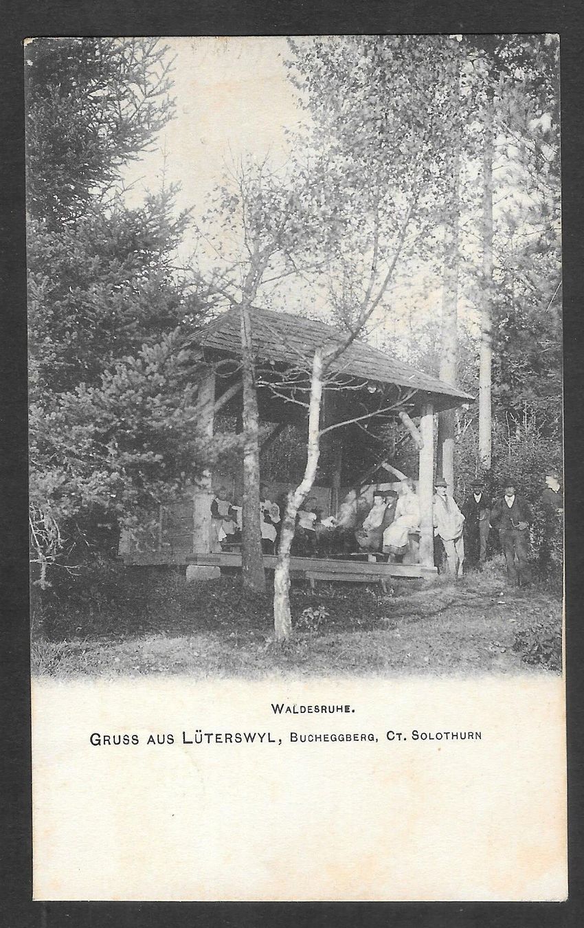 Cartoline postali: Lüterswil Waldesruhe – Usato da Olten venduto da clotaldi