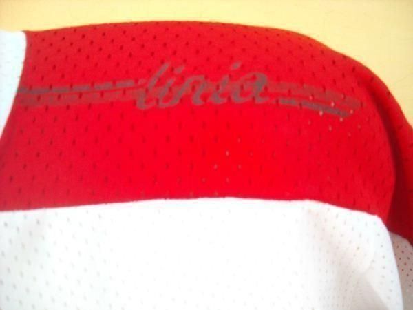 Leibchen & Hosen: EHC CHUR # 7 MOSKITO MATCH WORN TRIKOT M – Neu (gemäss Beschreibung) aus Zürich von TRIKOTKAISER 3