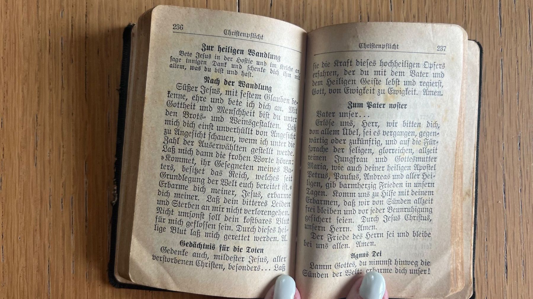 Libri: Trost der armen Seelen, Gebetsbuch 1954 – Usato da Schübelbach venduto da Dolly990_2 5
