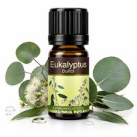 Duftöl Aromaöl Raumduftöl Eukalyptus im 10 ml Fläschchen