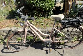 Shimano E-Bike City/Tiefeinsteiger, Akku defekt