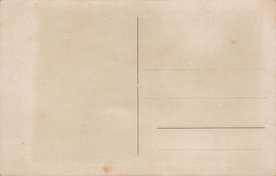 Cartoline postali: WK I: Soldat mit Karabiner – Usato da Frauenfeld venduto da POML 1