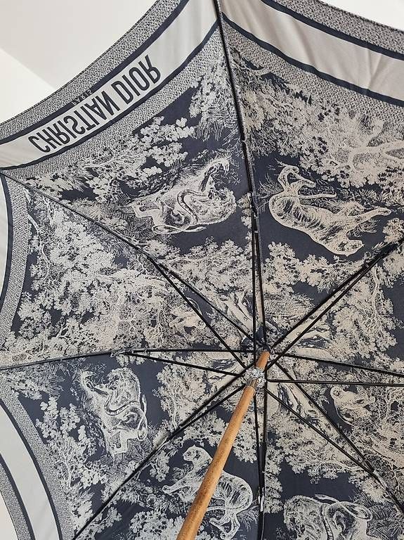 Ombrelli: Parapluie Walk?n?Dior – Usato da Lausanne venduto da mar_hzm5 1