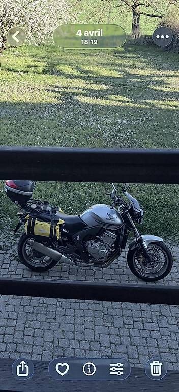 Honda Strada: Honda Cbf 600 injection – Usato da Vernier venduto da bog_wvf5 2