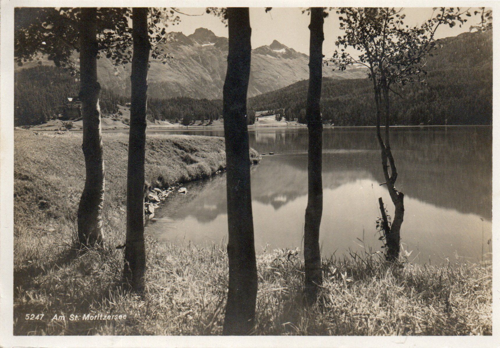 Ansichtskarten: Am St.Moritzersee – Neu (gemäss Beschreibung) aus Melano von pisonsdro