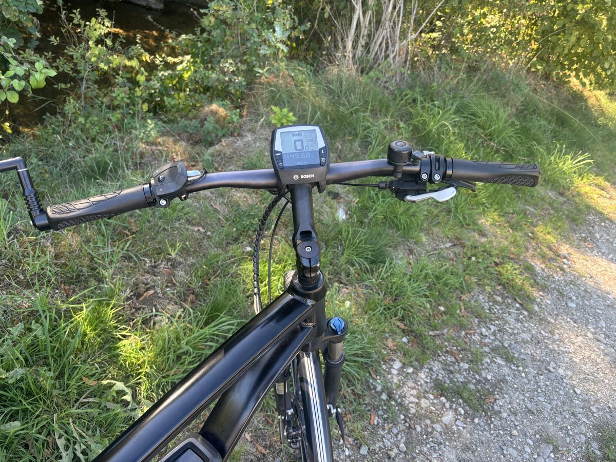 Flyer Biciclette: Flyer Bosch Motor 45 Km/h  – Usato da Kleindietwil venduto da her_d77z 1