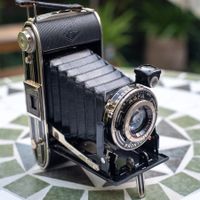 Agfa Billy-Record Balgenkamera "Art Deco"