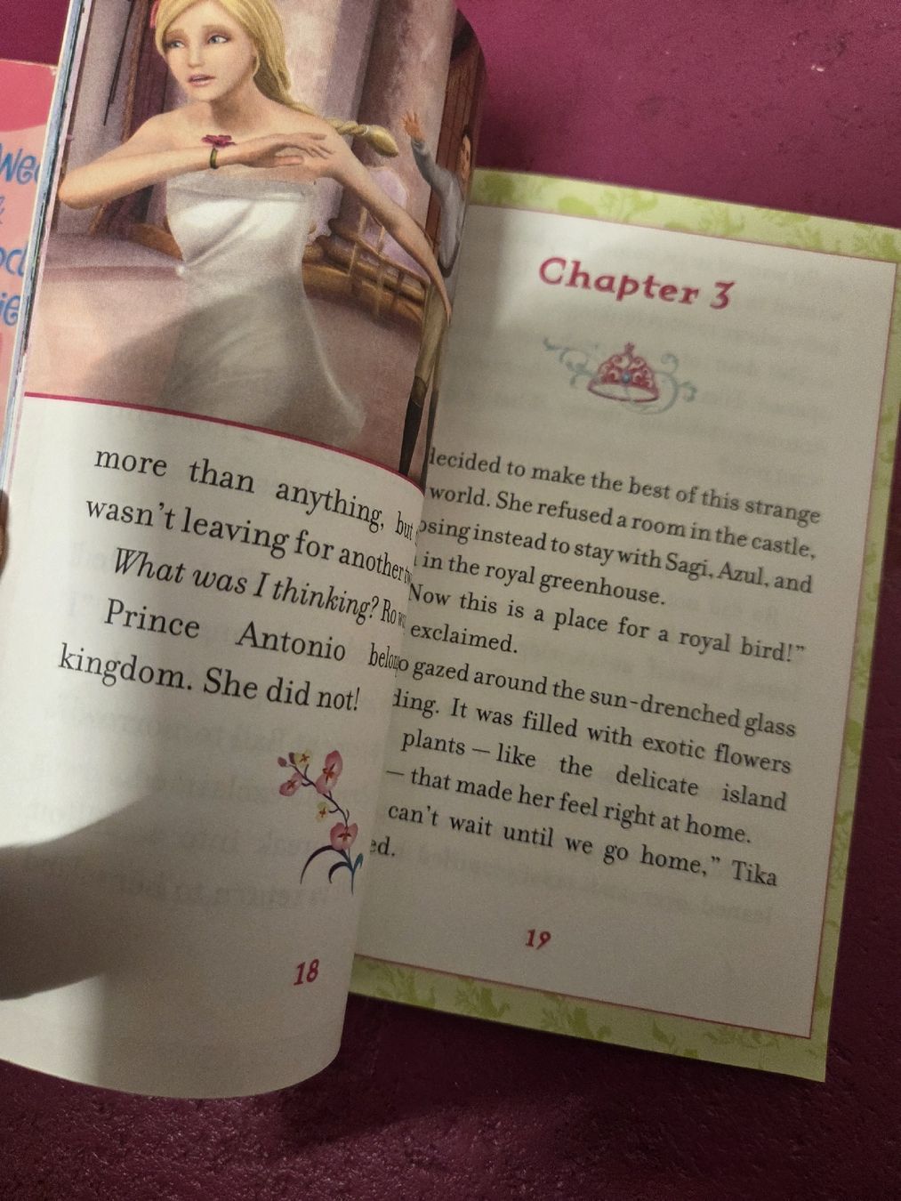 Libri: Barbie The Island Princess – Usato da Subingen venduto da DENDLE20 2