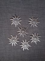 6x Edelweiss