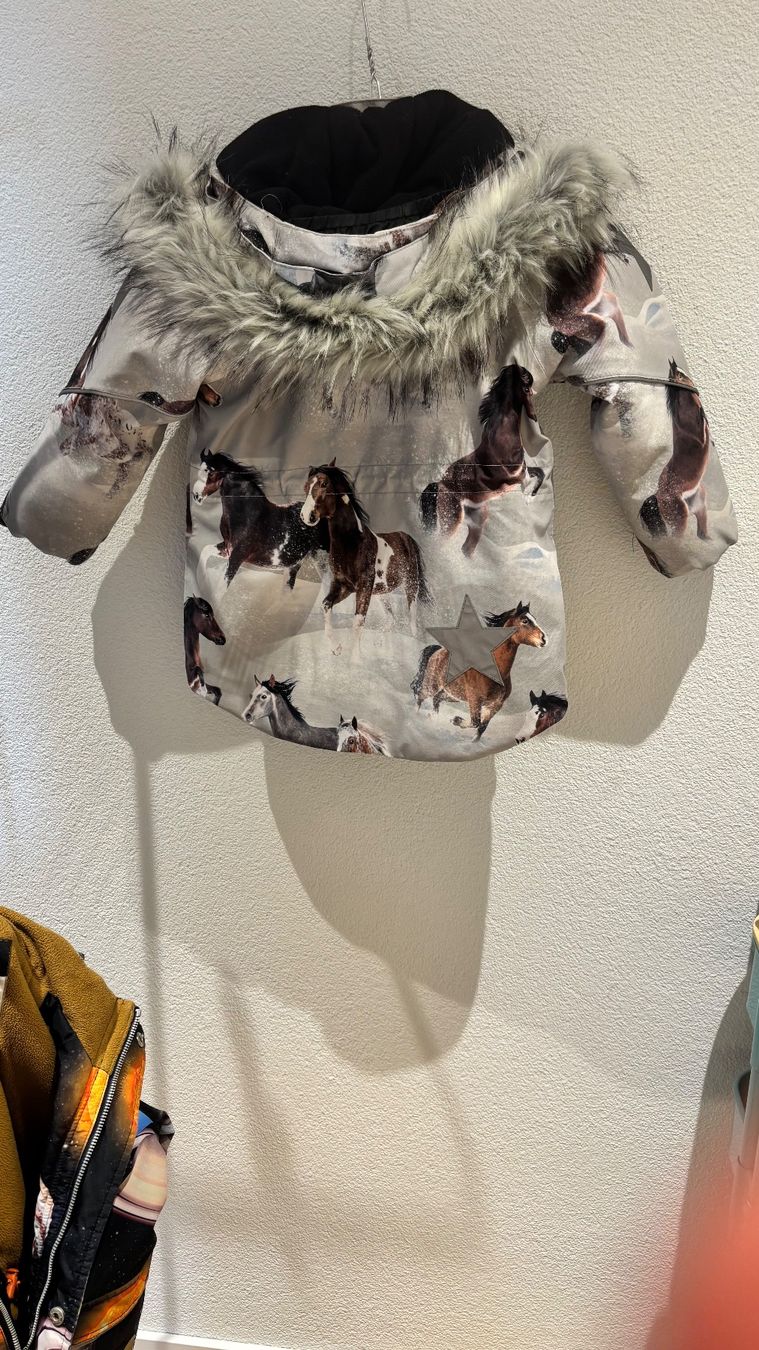 Molo Vestes & Manteaux: Molo Winterjacke – D'occasion à Uitikon Waldegg par Thefateofophelia 1