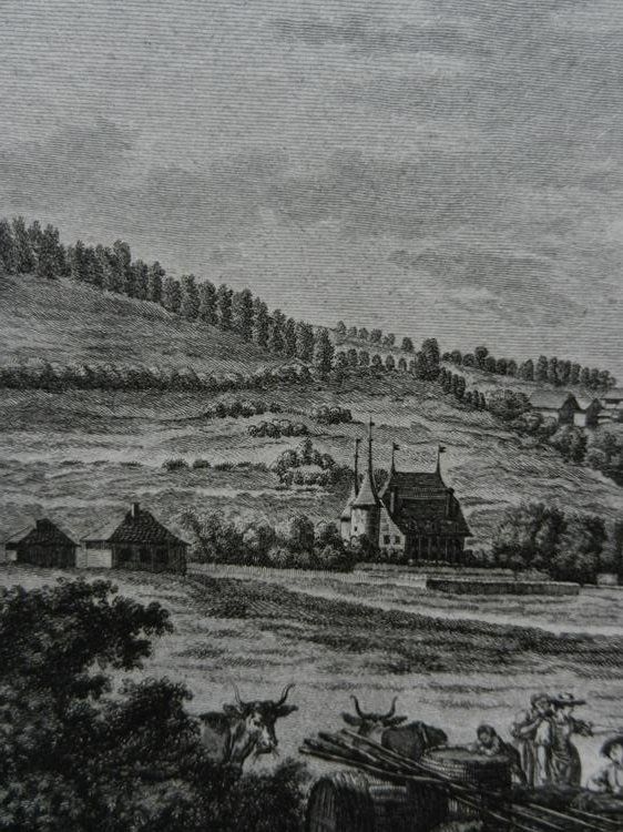 Incisioni: Vue du château Riggisberg – Usato da Risch venduto da Rischli15 5
