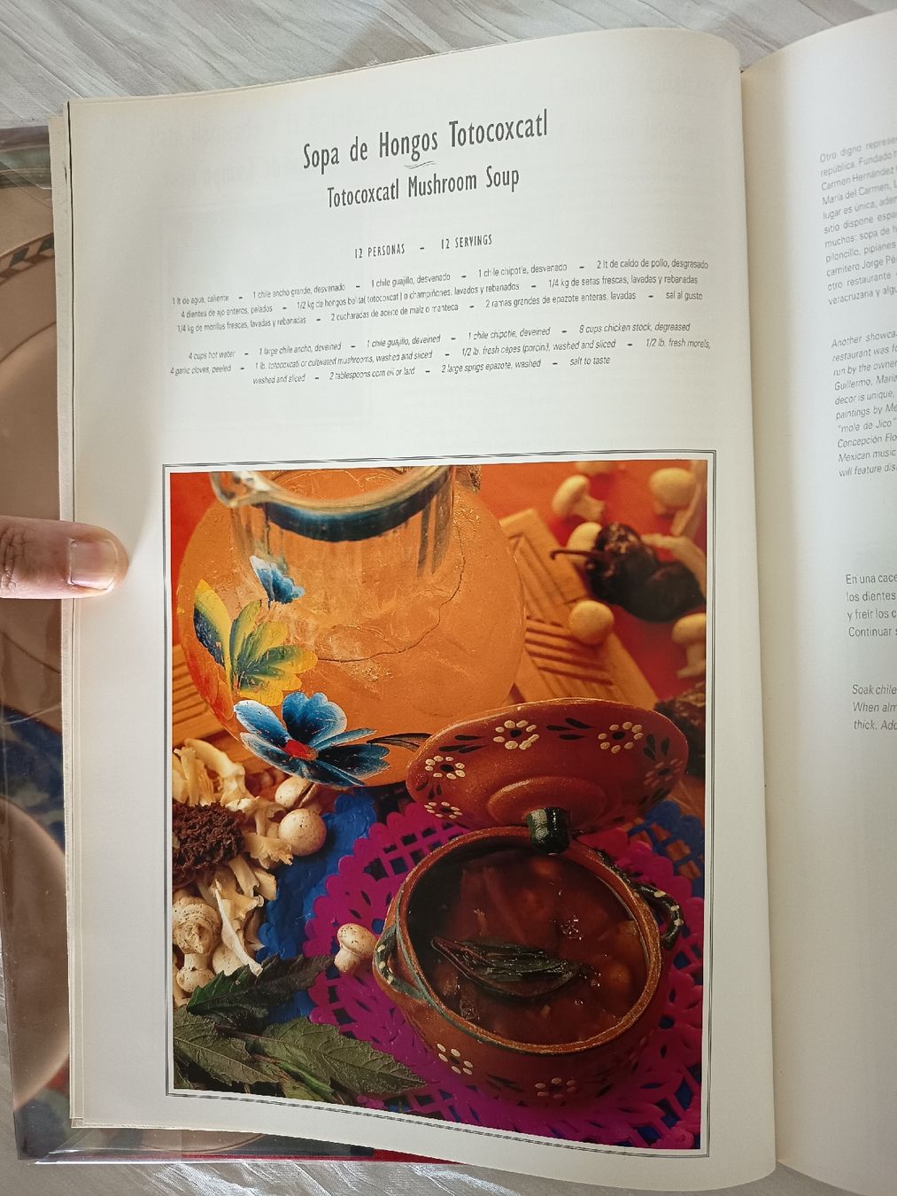 Libri: Platillo Ciudad de Mexico Buch gebraucht – Usato da Wangen b. Olten venduto da crea_look 2