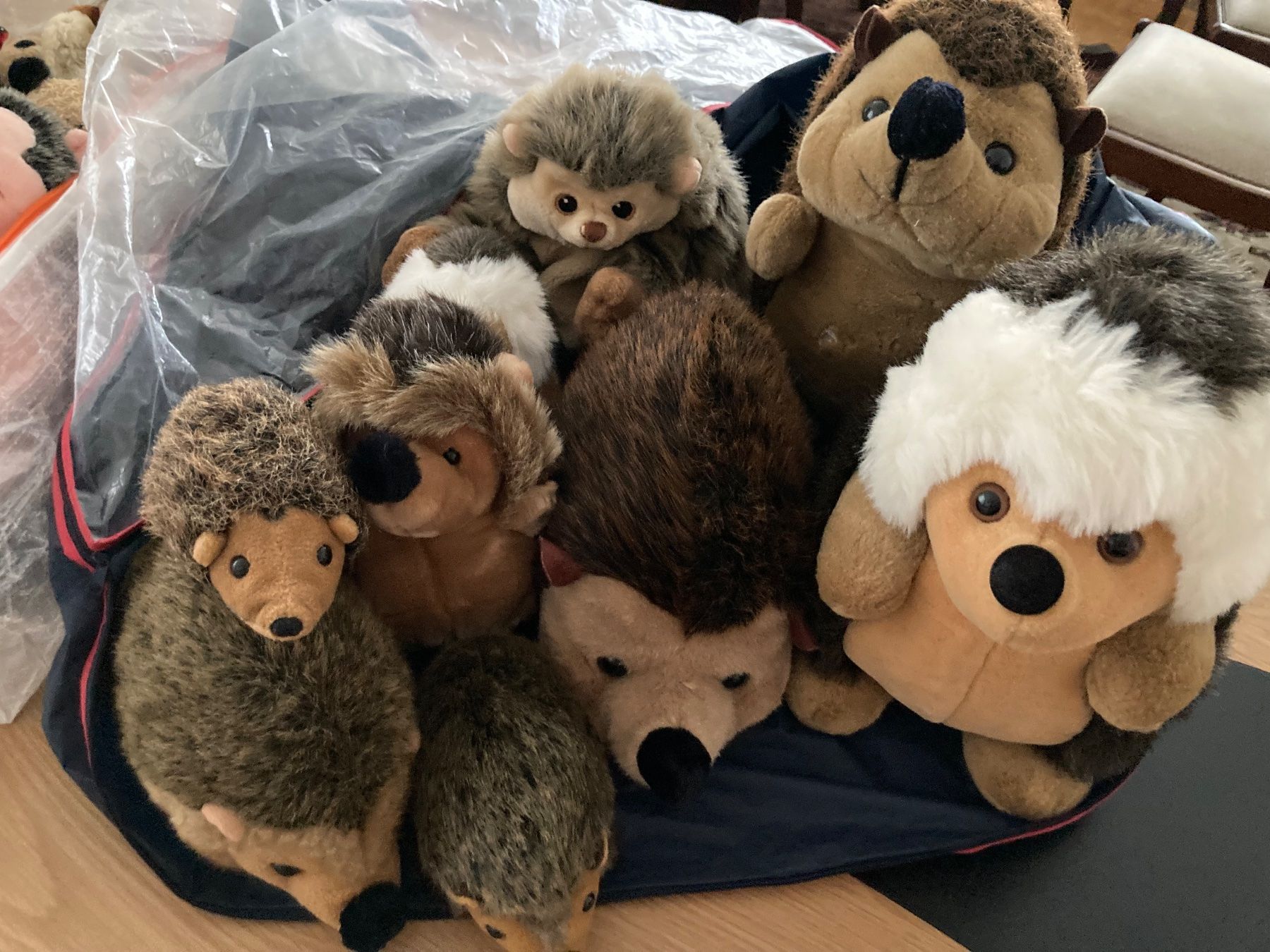 Jouets: Plüschtier Igel-Sammlung ca. 30 Stück div. Grössen – D'occasion à Liebefeld par DingDangDong 1