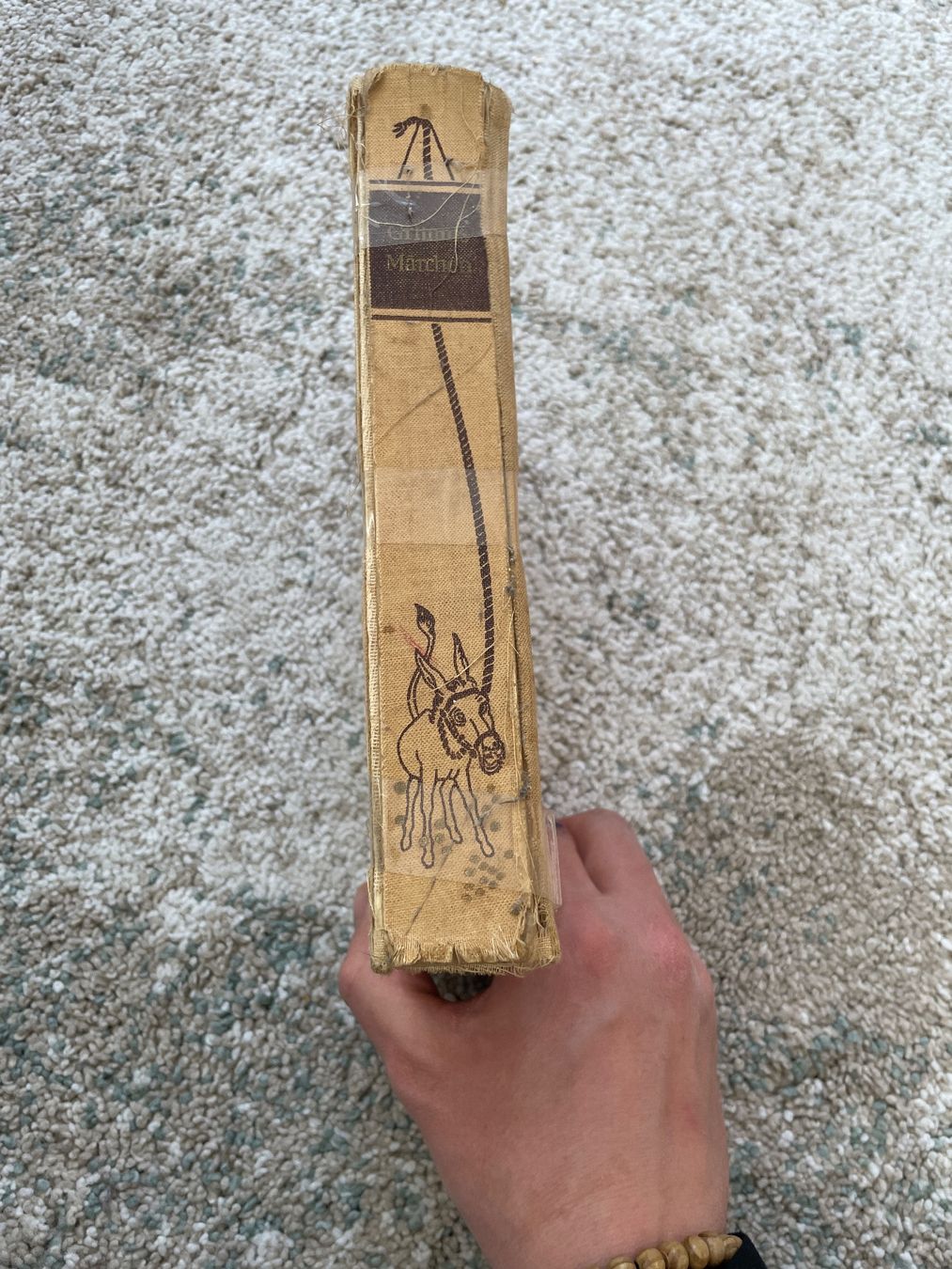 Libri: Grimms Märchen – Usato da Sargans venduto da Didis 3