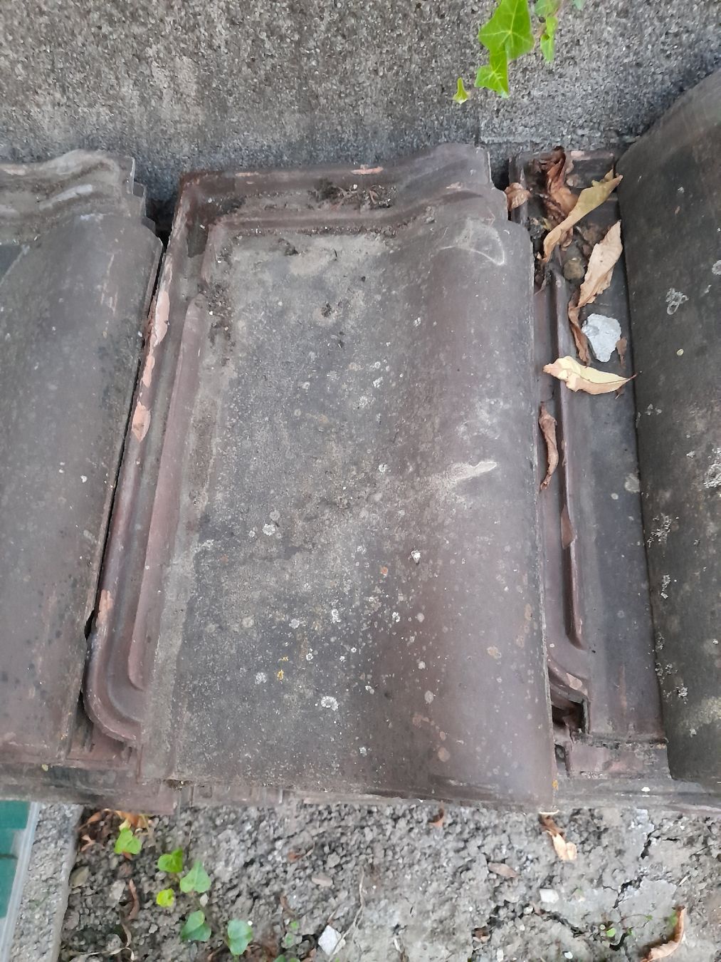 Unterstände: Tuiles passavant iselin – Gebraucht aus Marin-Epagnier von sam_yb2f 2
