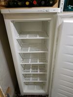 Gefrierschrank FrigeluX Weiss H140cm B55cm Gebrauchsspuren