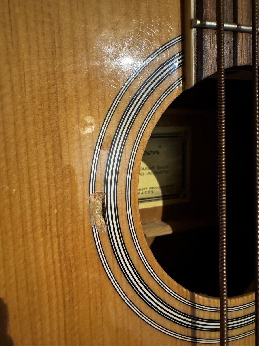 Strumenti musicali: Basse Electro / Acoustique 4 Cordes – Usato da Arconciel venduto da WheelH_23 3
