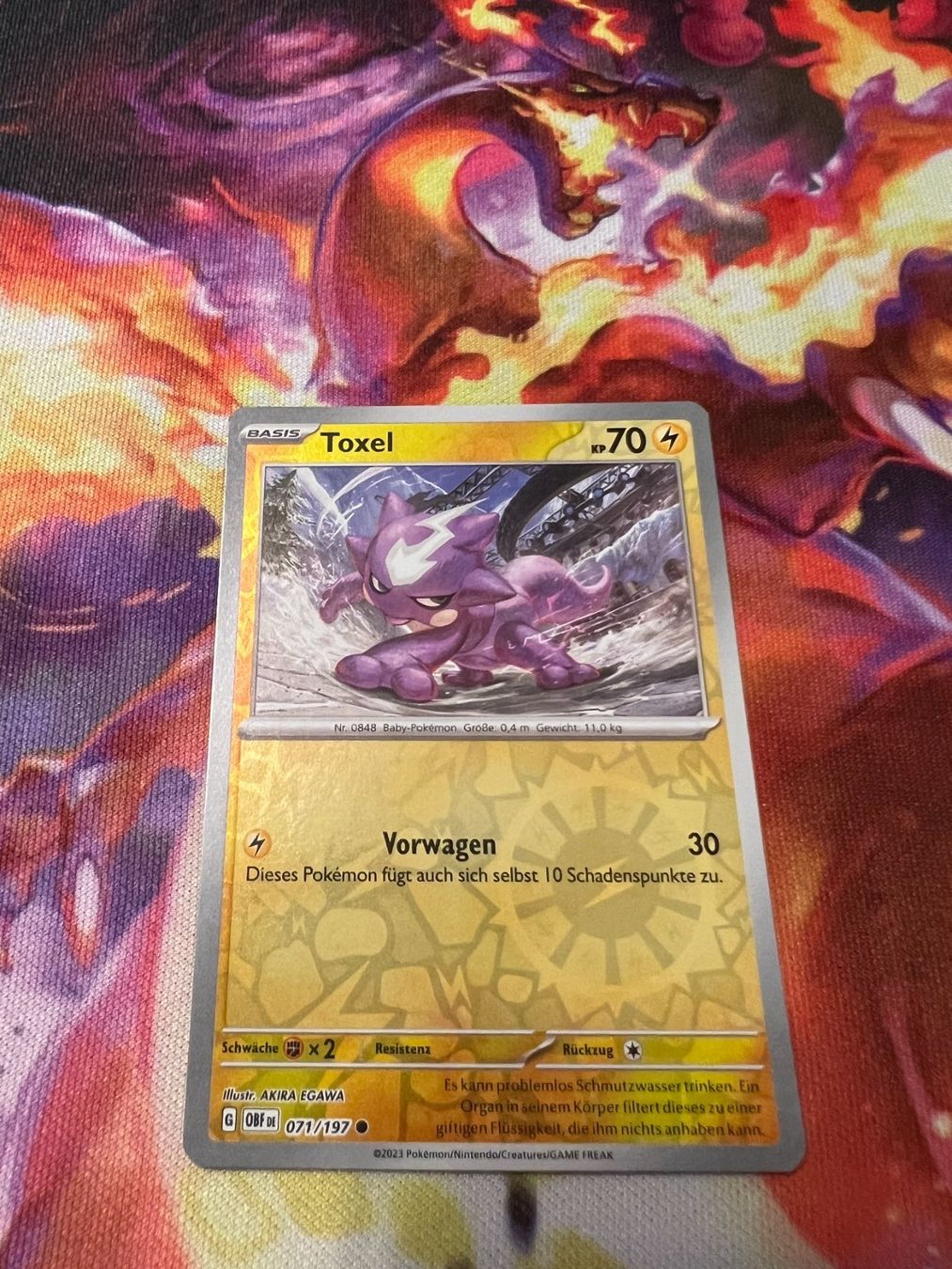 Pokémon Carte collezionabili: Toxel (OBF 071) / Reverse Holo / Obsidianflammen – Nuovo (secondo la descrizione) da Bülach venduto da CherryBlu