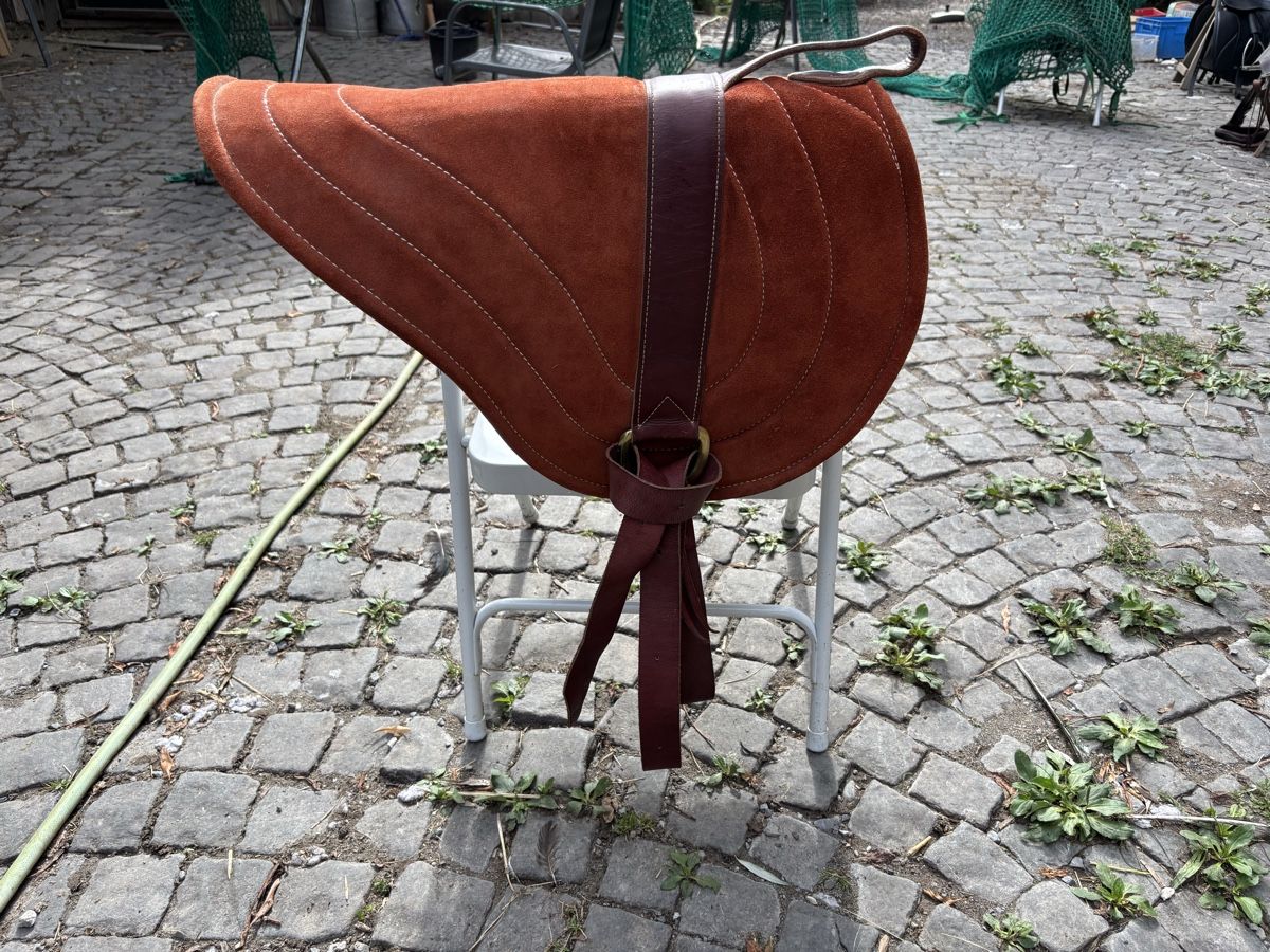Selles, accessoires: Bareback Pad – D'occasion à St. Gallen par may_8fbd 1