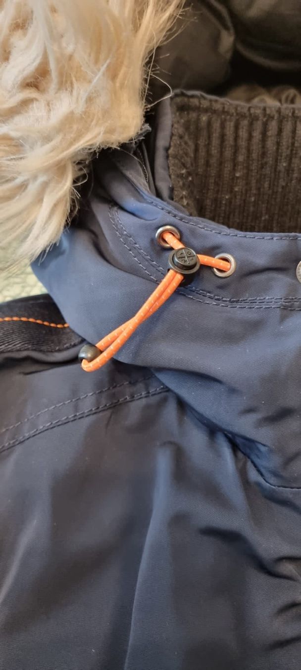 Tom Tailor Giacche: Tom Tailor Gr. M – Usato da Luzern venduto da Edii025 5