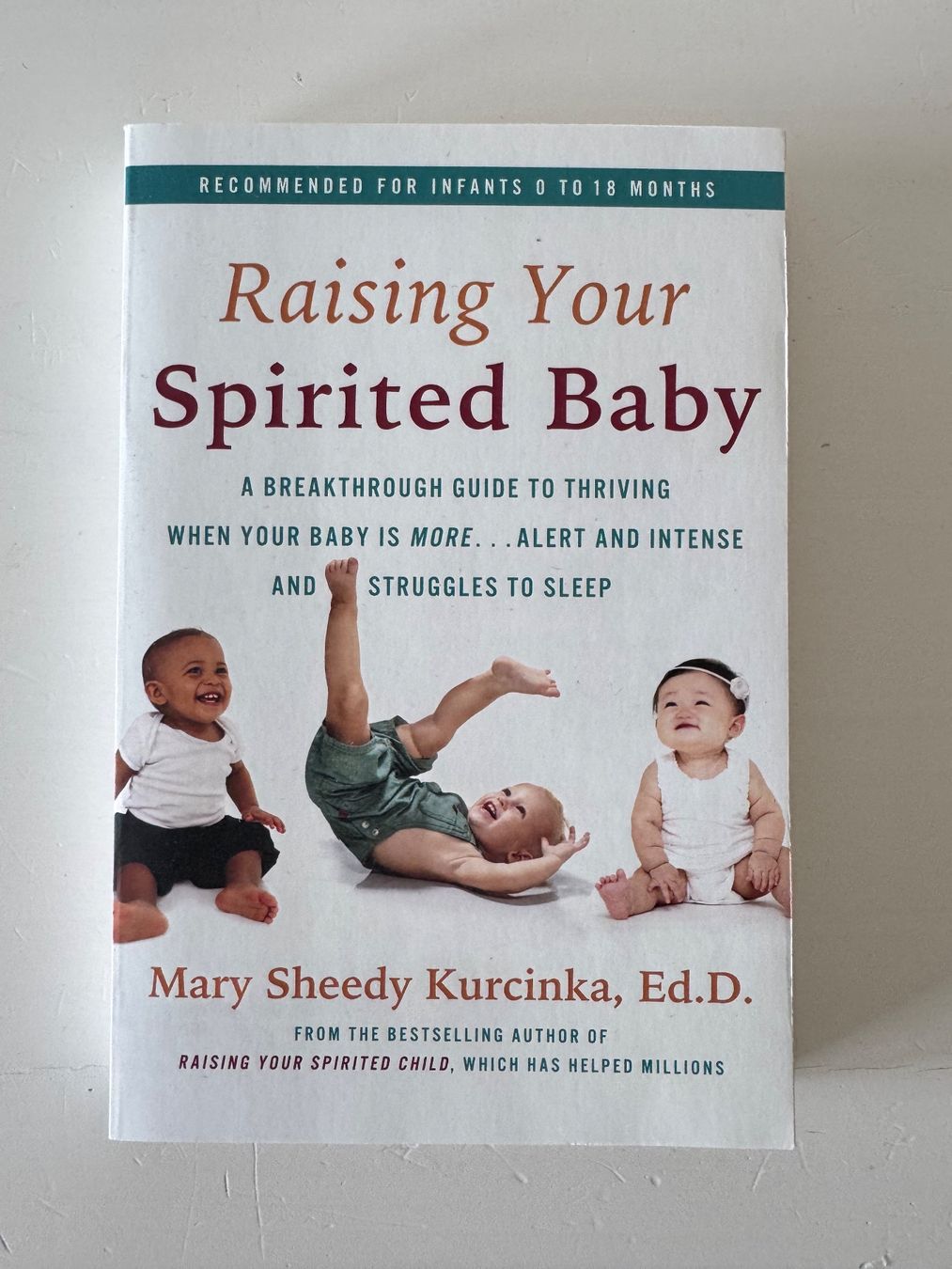 Libri: Raising your spirited baby – Usato da Zug venduto da sil_j6rl