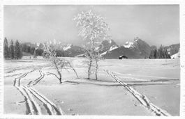 Saanen BE winterliche Alpenlandschaft mit Bergen