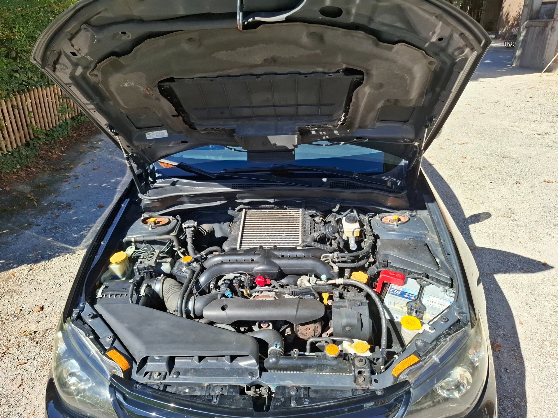 Subaru Automobili: Subaru Impreza 2.5T WRX S – Usato da Bern venduto da Carraro68.4 5