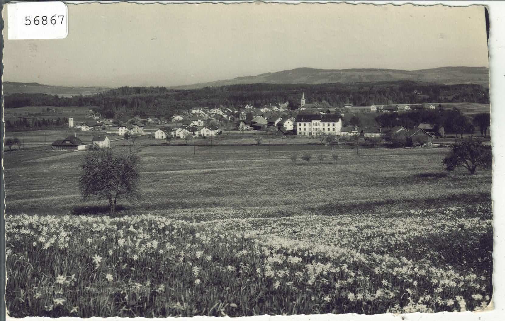 Cartoline postali: Broc - Vue generale – Difettoso da Ettingen venduto da Kartenplanet