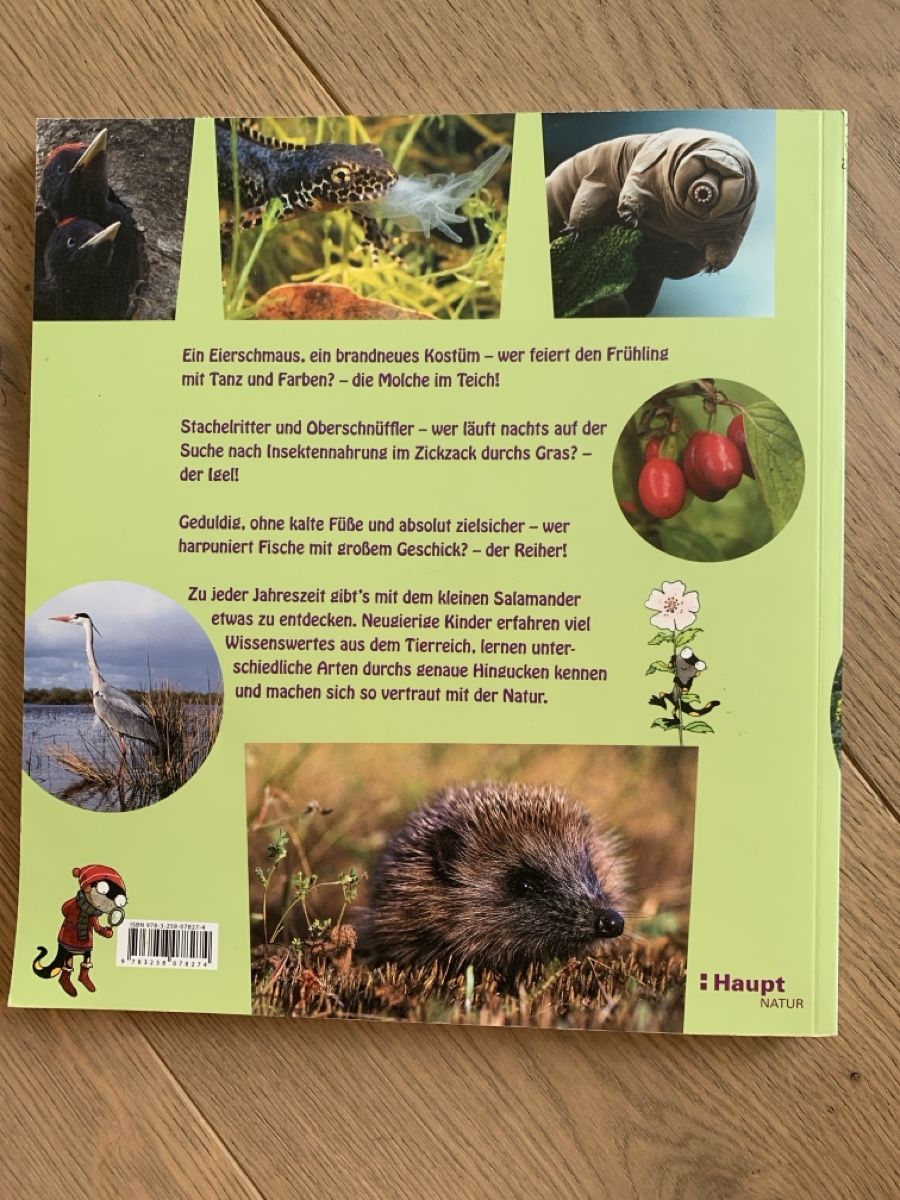 Libri: Mit dem kleinen Salamander durchs Jahr  – Usato da Winterthur venduto da amapola 1