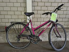 Velo 14