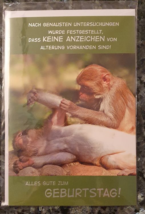 Witzige Geburtstagskarten / 6 Stück Kaufen auf Ricardo