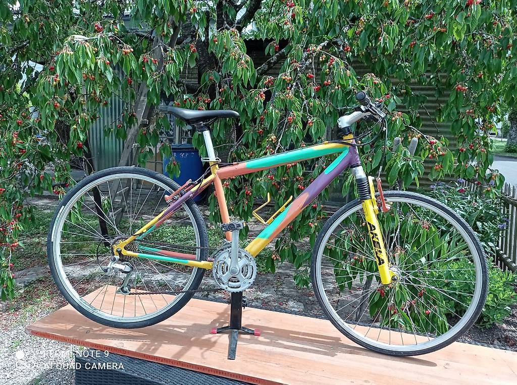 Biciclette: Art MTB Andy Warhol Style – Usato da Biel/Bienne venduto da Rouf7 1