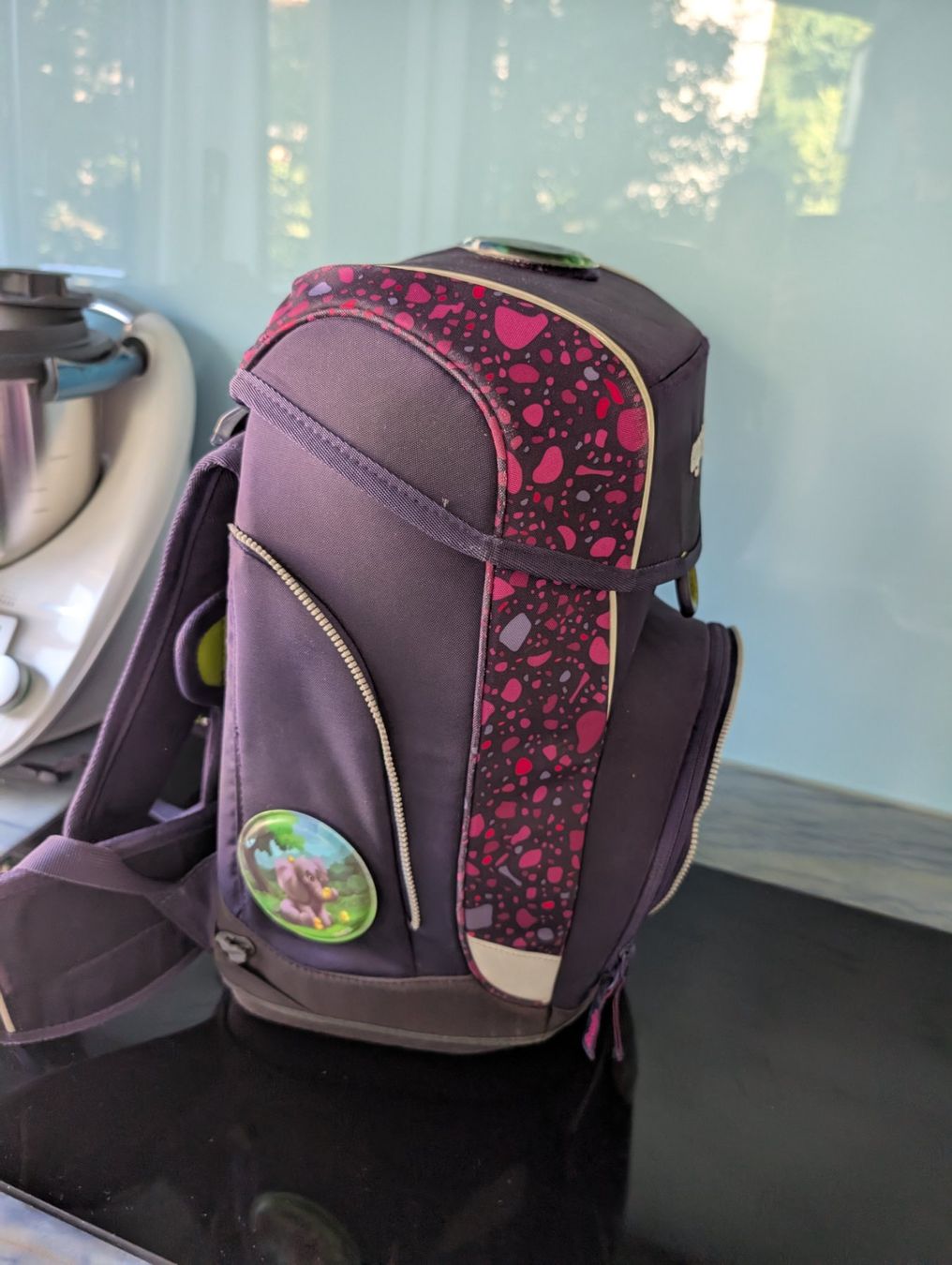 Ergobag Borse & Zaini: Ergobag – Usato da Zürich venduto da mbucur 1