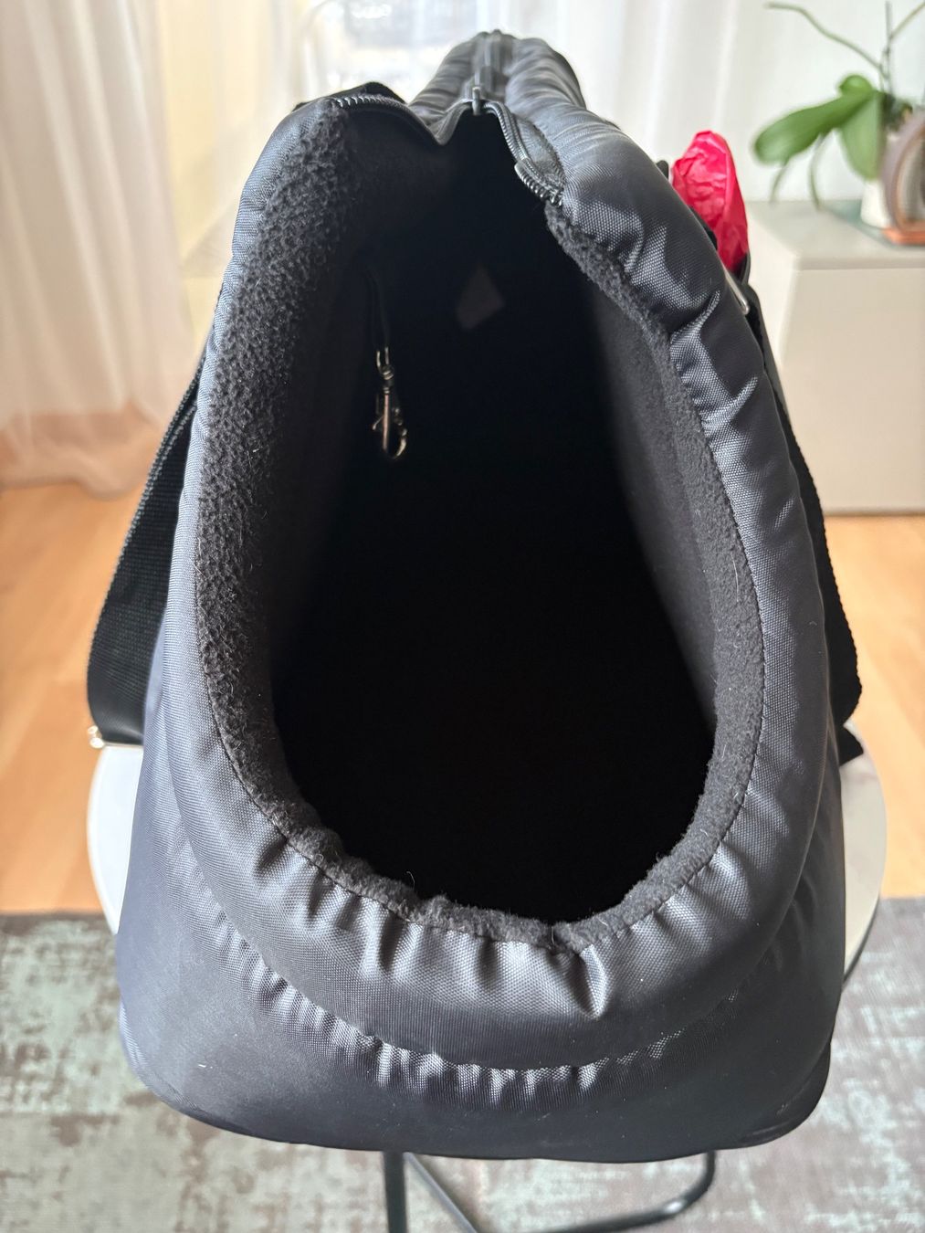 Cucce & Letti: Kleinhaustier Tasche Neuwertig – Nuovo (secondo la descrizione) da Niederbipp venduto da blu_jw7r 6