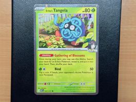 Tangela HOLO (007/217) - ASCENDED HEROES - ASC EN